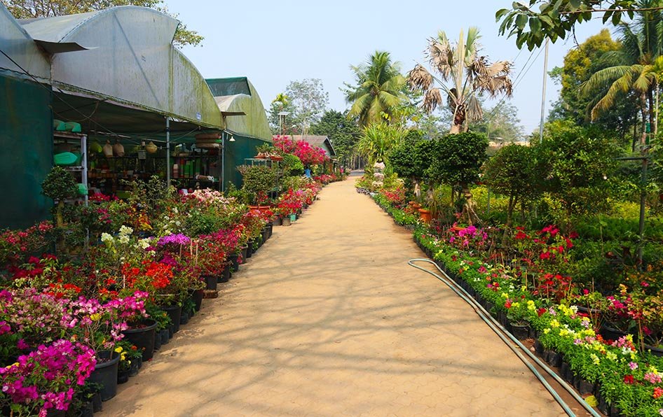 https://daffodil.clearwintech.com/wp-content/uploads/2025/04/Campus-Tour_Daffodil-Group-of-Institutions.jpg
