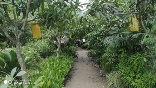 Nursery