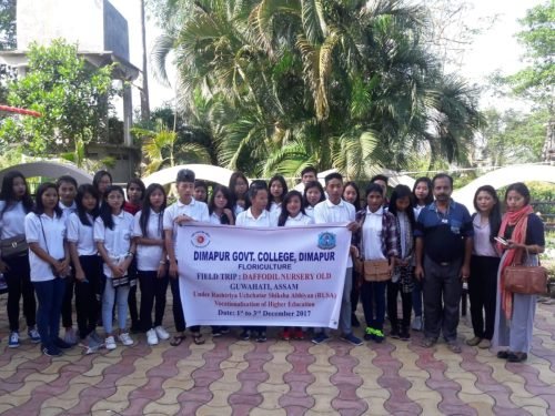 Training-Group-of-Dimapur-Govt.-College-Dimapur